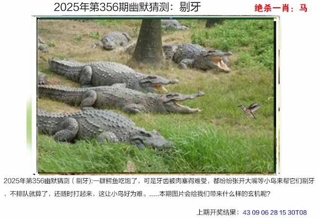 356期幽默猜测[图]