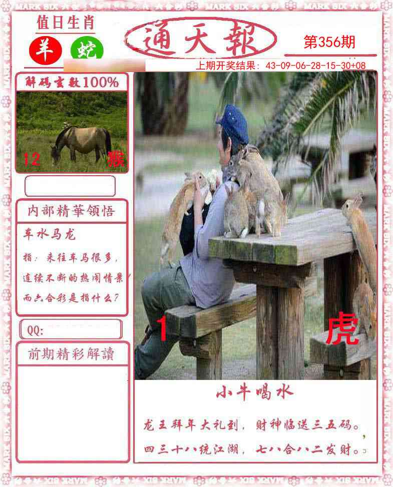 356期正版通天报[图]