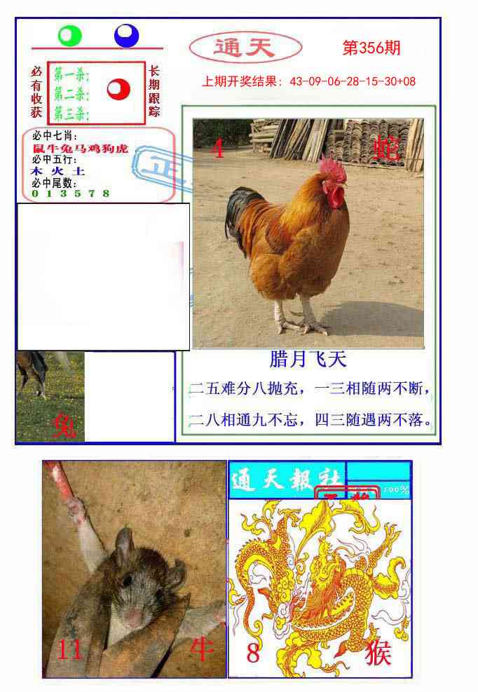 356期通天杀波图2[图]