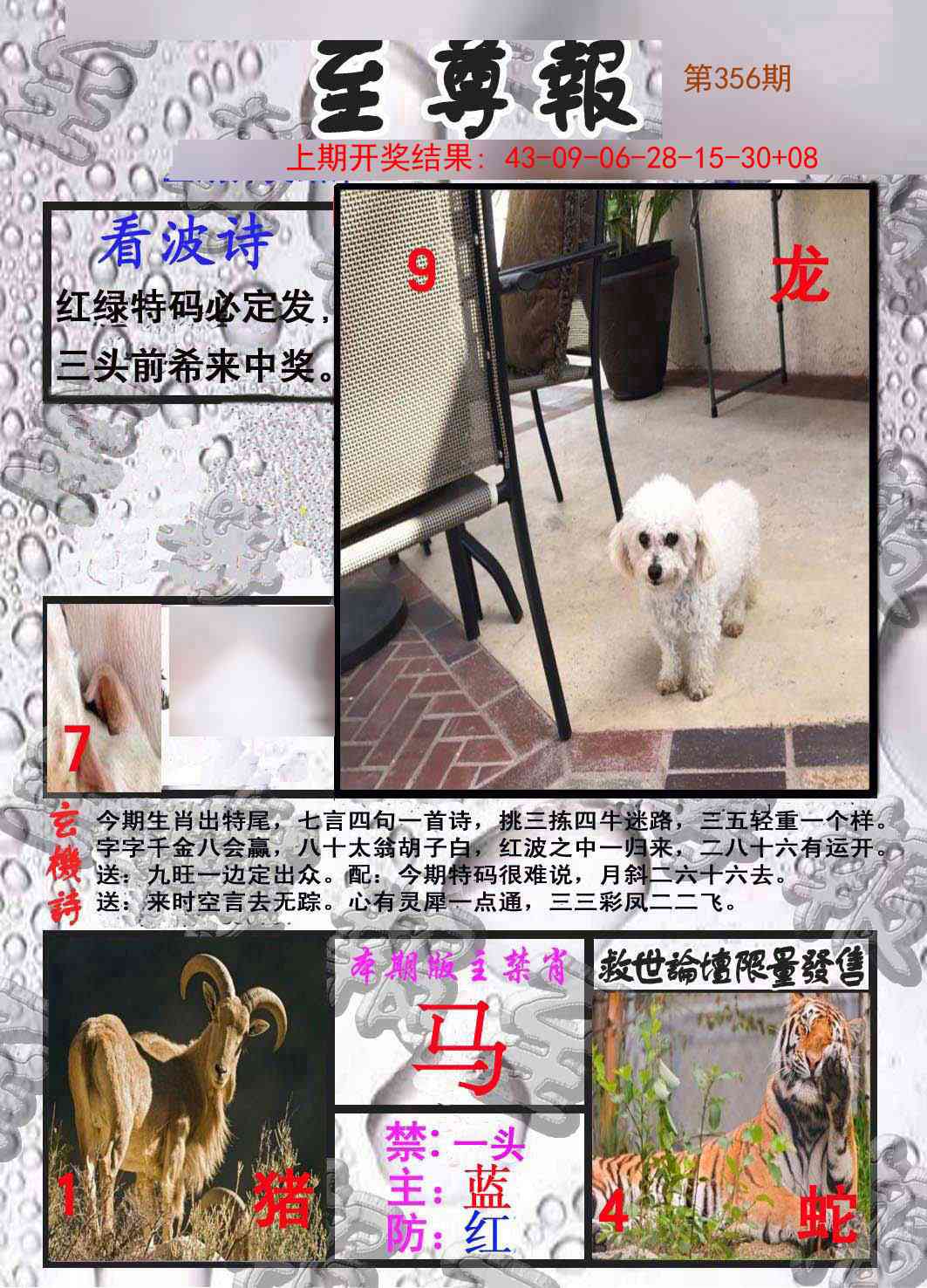 356期至尊报[图]