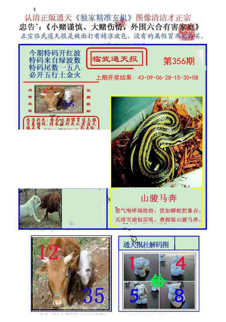 356期临武通天报[图]