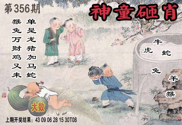 356期神童砸肖[图]