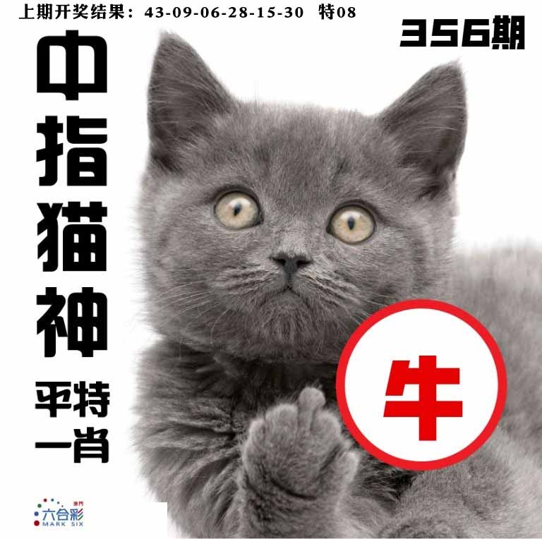 356期中指猫神[图]