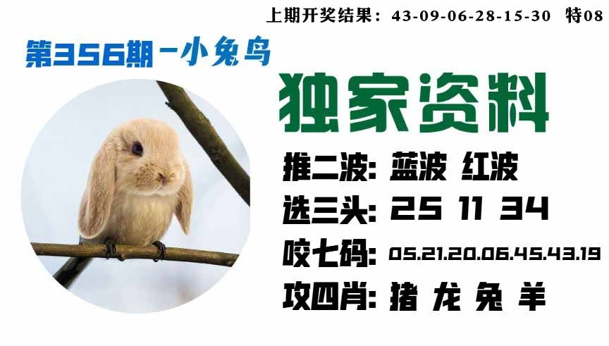 356期小兔鸟[图]