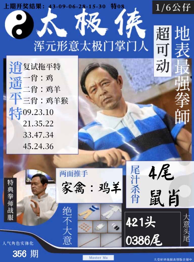 356期太极侠[图]